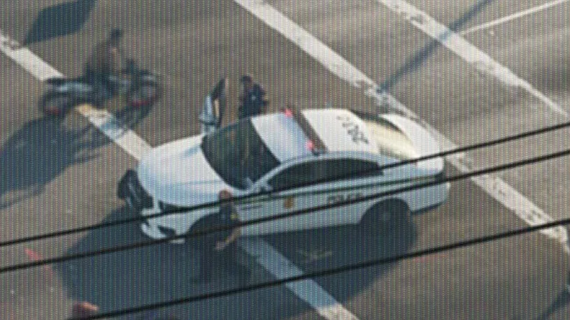 Close-up: white with a thin green side stripe, gold door badge and dark roof numbers